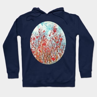 I Scratch the Sky Hoodie